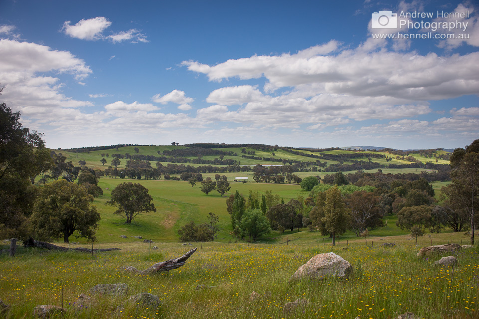 Rolling hills, Pulletop, NSW.